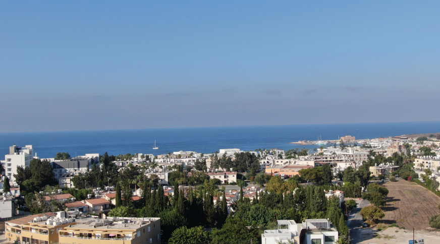 section catalog photo